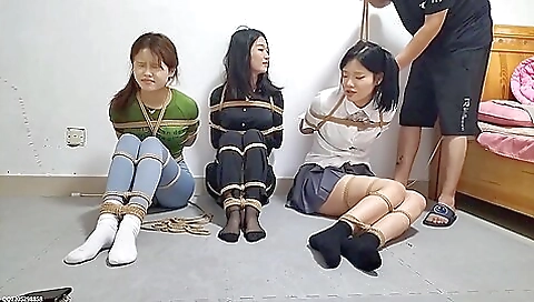 Hotesters hardworking a wet pussy